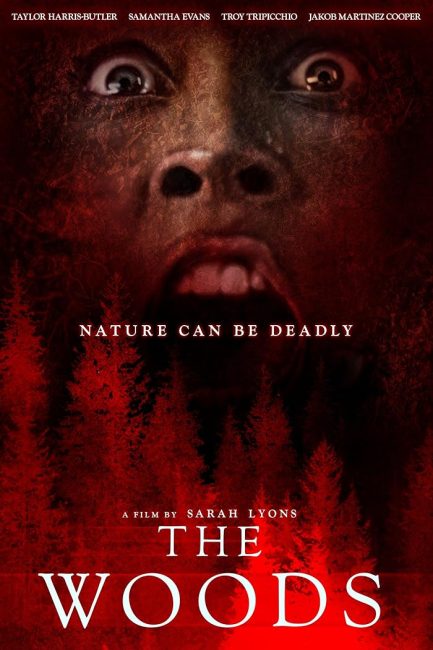 مشاهدة فيلم The Woods 2024 مترجم حصرى اون لاين على أكثر من سيرفر