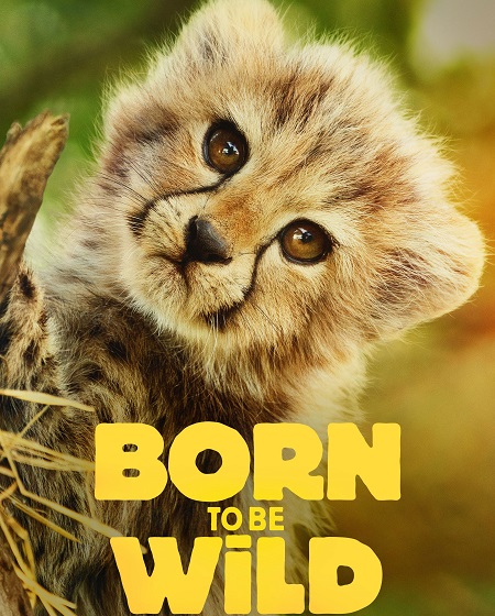 مسلسل Born to be Wild الموسم الاول الحلقة 4 مترجمة